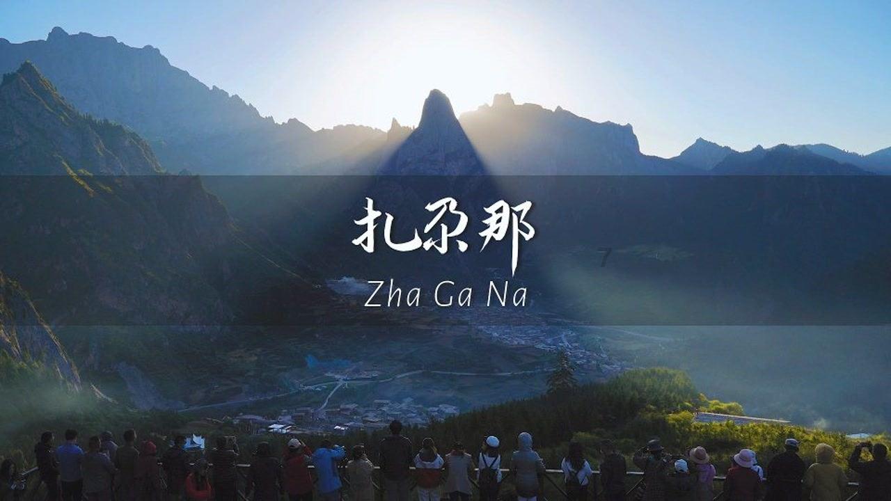 安图生物将于2月20日召开股东大会，审议以集中竞价交易方式回购公司股份方案的议案