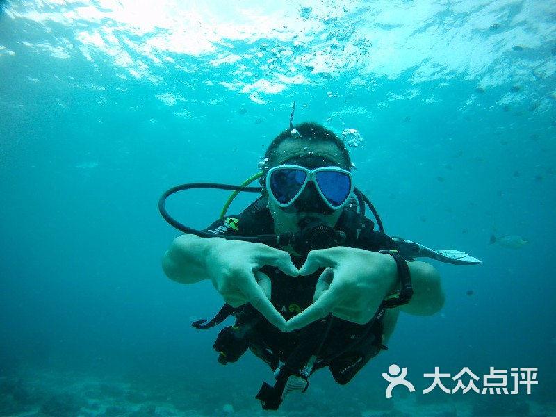 花与剑
