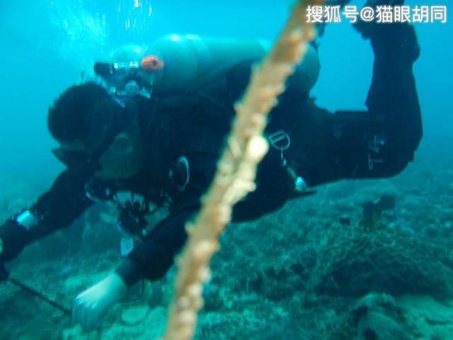 室友的矛盾